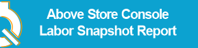 Above_Store_Console_Labor_Snapshot_Report.png